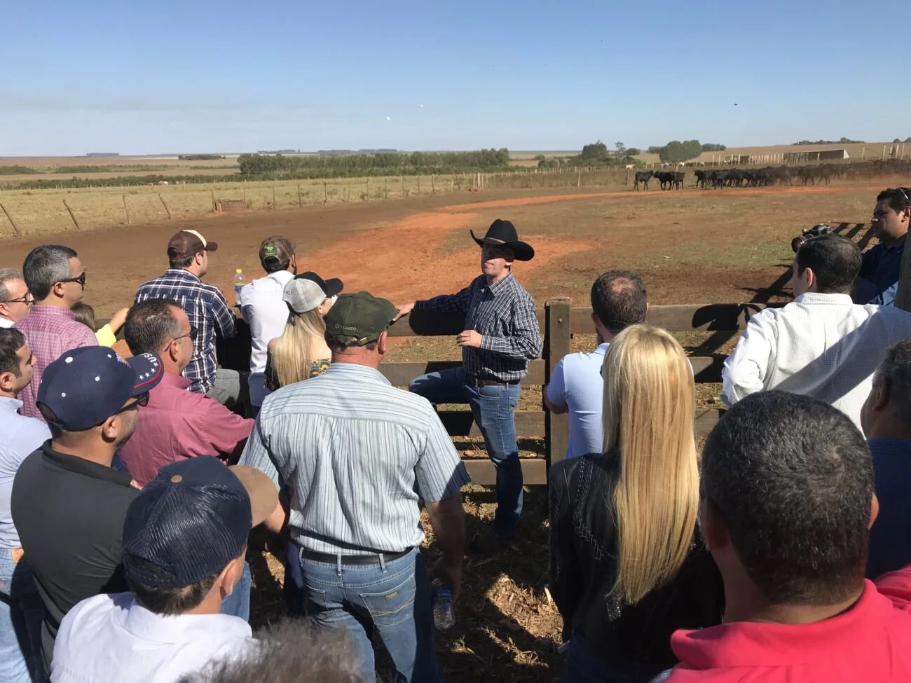 Dia de campo do Brangus Saga responde perguntas sobre lucro na pecuária de corte Dia de campo do Brangus Saga responde perguntas sobre lucro na pecuária de corte