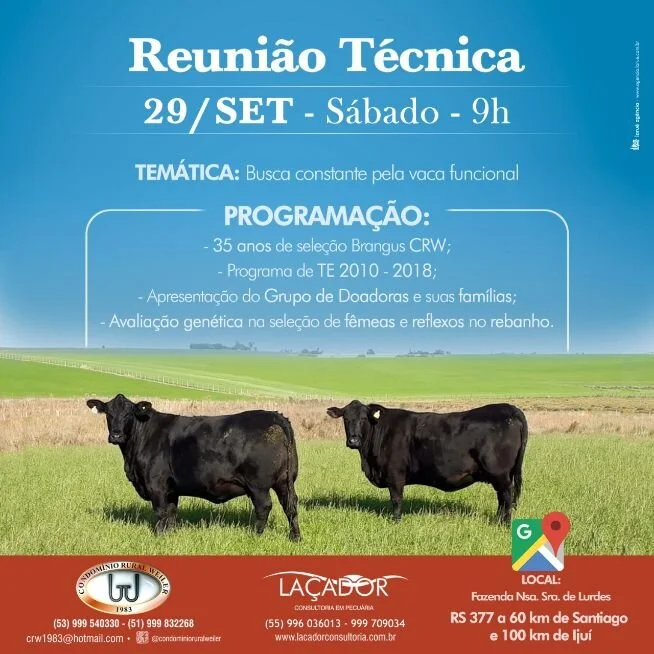 Reunião Técnica Brangus foi realizada neste sábado em Tupanciretã (RS)