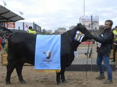  Reservada Grande Campeã 