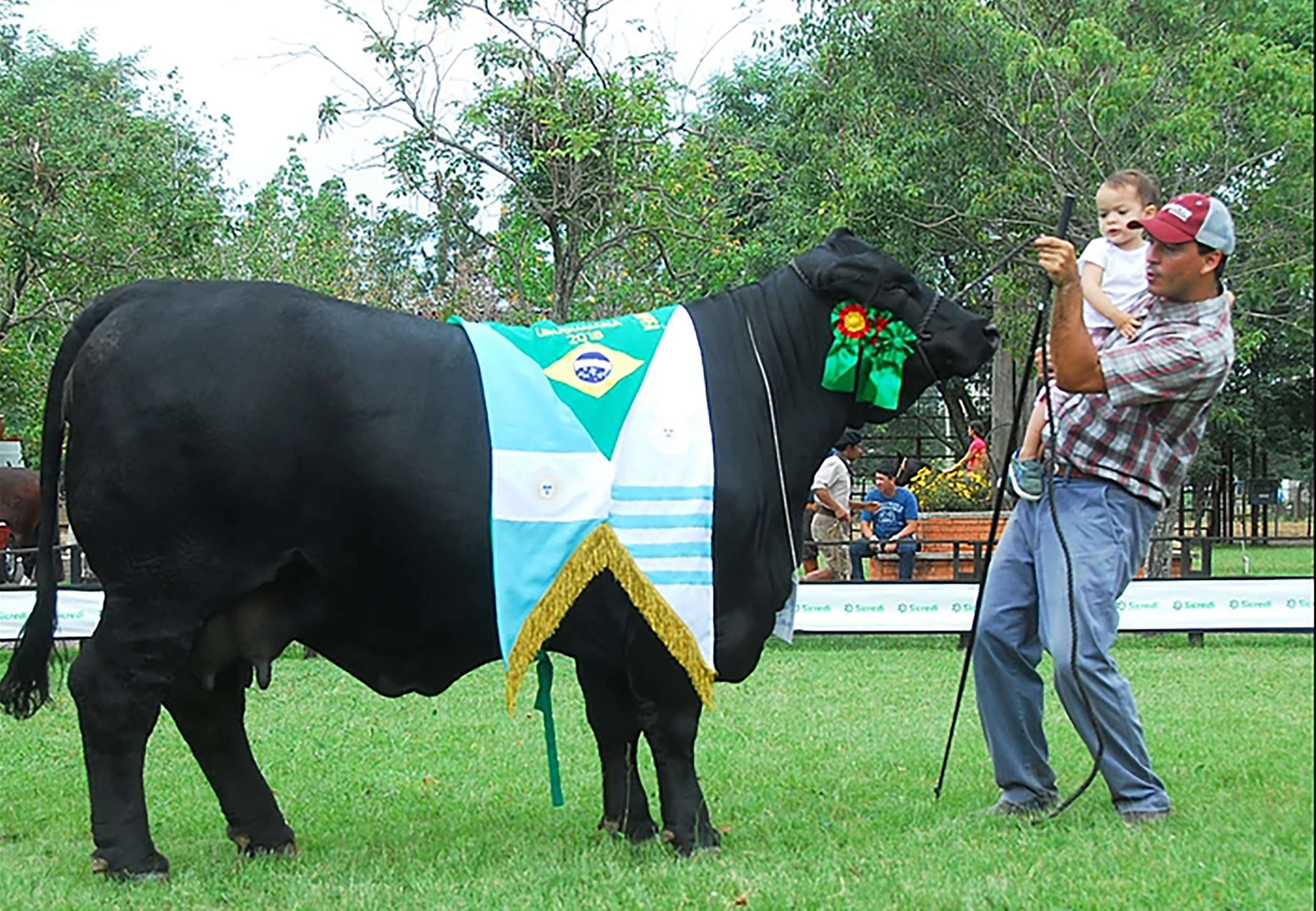  Grande Campeã 