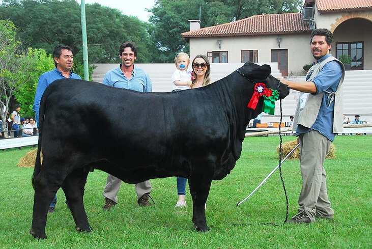  Reservada Grande Campeã 