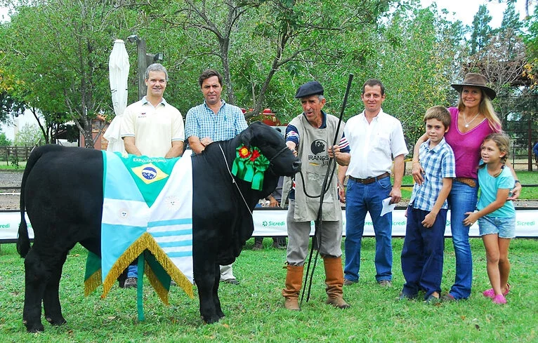  Grande Campeão 