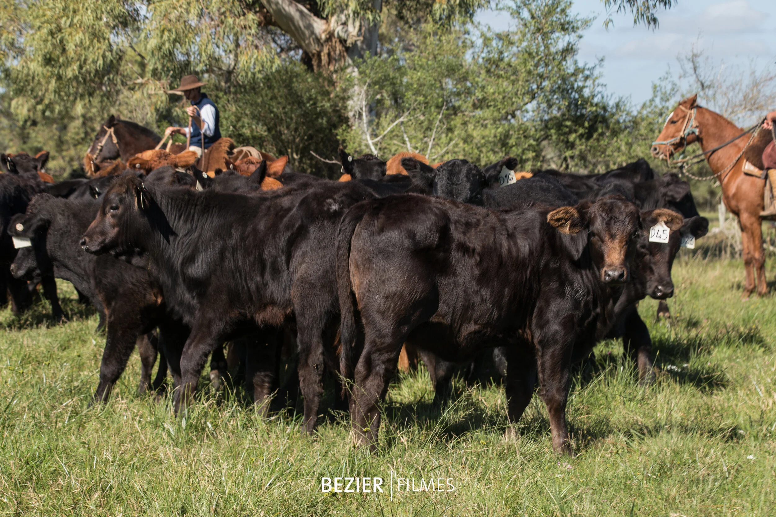 Gira na Estância São Roberto