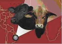 Divulgada programação do Congresso Mundial Brangus