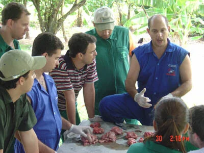 Abertas inscrições para Curso Veterinário
