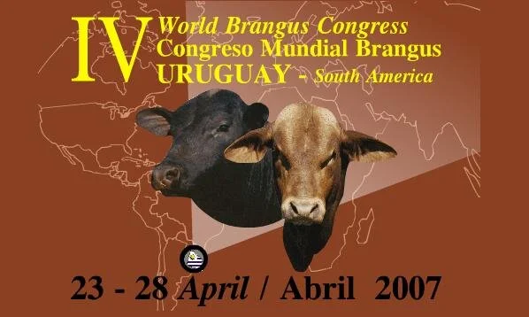 Congresso Mundial de Brangus começa hoje