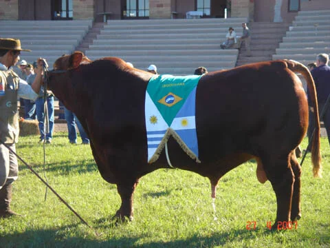 Congresso Mundial teve representantes de 11 países