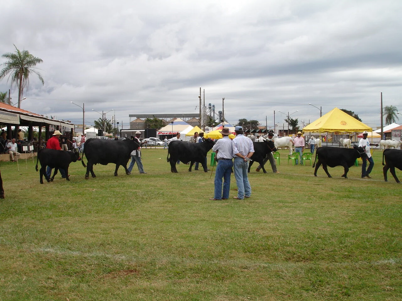 Criadores comemoram resultados da ExpoDourados, MS