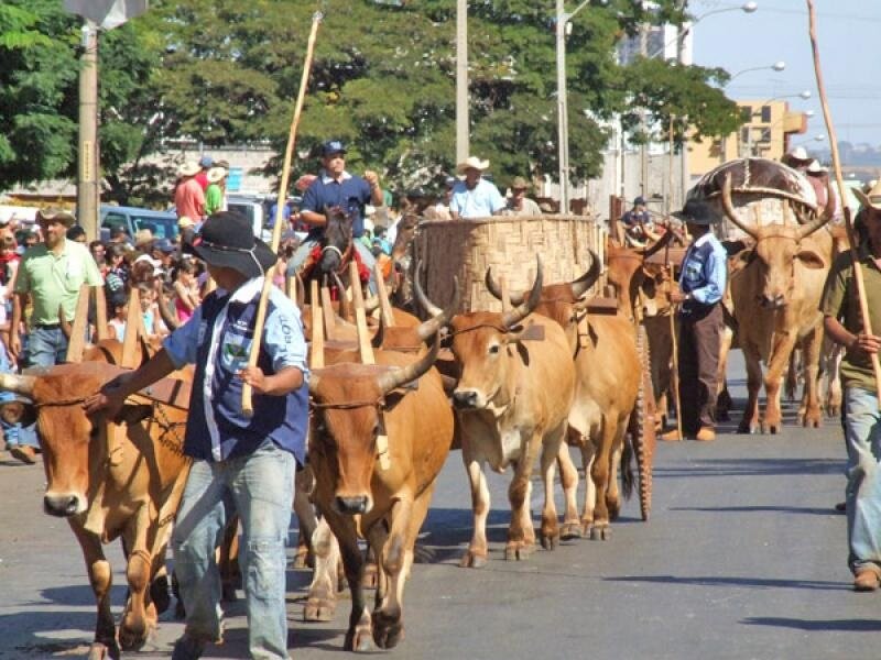 Julgamento Brangus é hoje