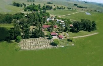 Remate São Bibiano arrecada o dobro de 2006