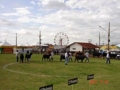 Brangus define participação na Expo Dourados 2008