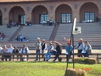 6ª Expo Outono de Uruguaiana terá animais Brangus