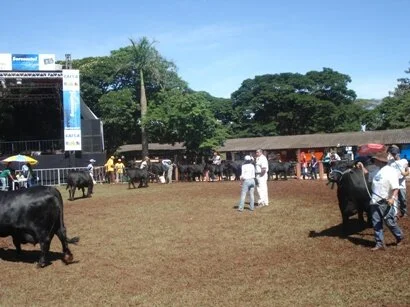 ExpoLondrina 2009 já tem data pré-agendada