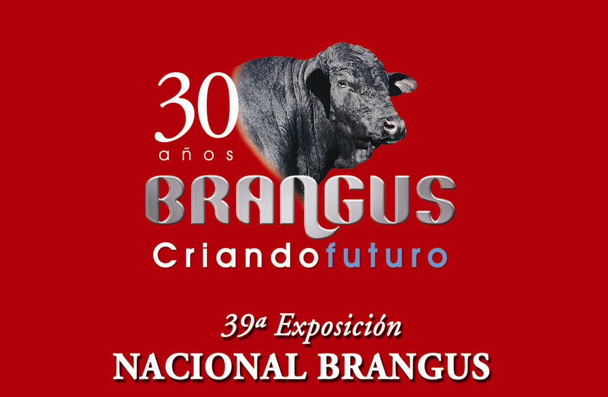 Brangus se prepara para Nacional na Argentina
