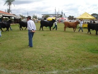 Célio Arantes Heim é juiz de argola em Dourados
