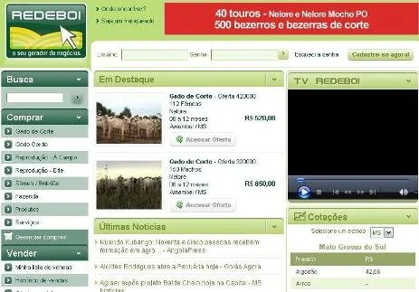 Brangus em Dourados terá transmissão ao vivo