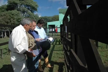 Umbu divulga resultados das Vendas Diretas