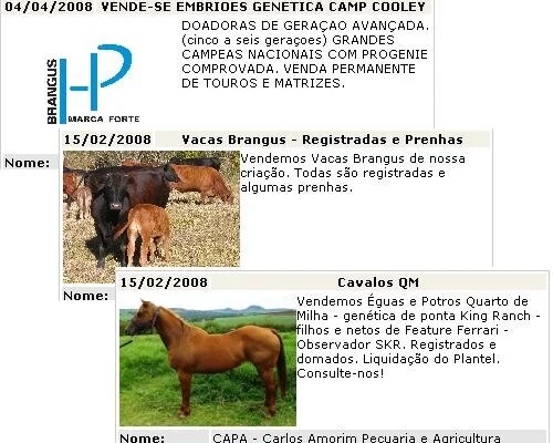 Anuncie sem gastar nada, só com a Brangus