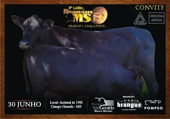 8ª edição de Leilão Brangus MS será dia 30/06