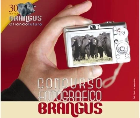 AAB promove Concurso Fotográfico Brangus