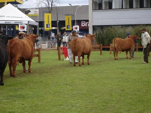 Veja aqui sugestões de hotéis para a Expointer