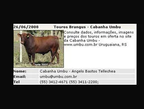 Cabanha Umbu oferece Touros em Classificados ABB
