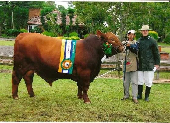 ABB divulga pontuação do ranking de Uruguaiana