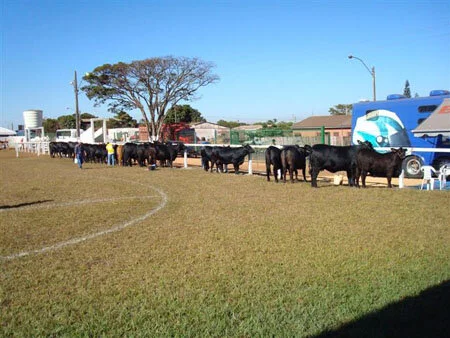 ABB divulga álbum de fotos de Rio Verde