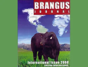 ABB recebe revistas da Associação Internacional