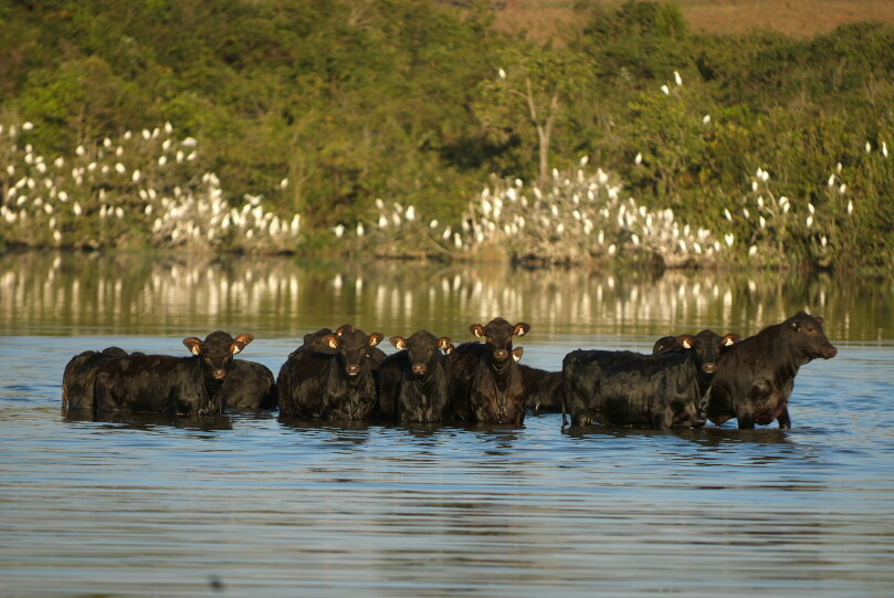 Fotógrafo brasileiro recebe prêmio em Palermo