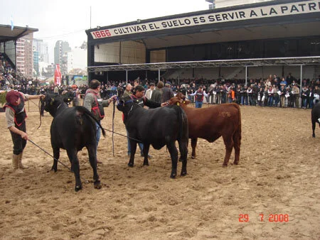 Veja aqui fotos da Exposição de Palermo