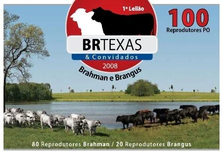Leilão BR Texas é sucesso de vendas no MS