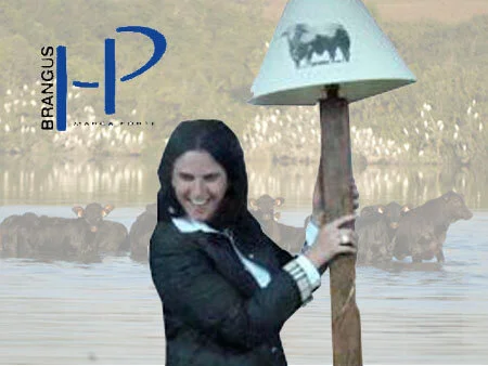 ANNA CECÍLIA PIRES LANCSARICS -CRIADORA DA SEMANA