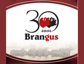 Ações dos 30 anos da ABB começam a ser realizadas