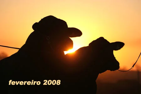 RETROSPECTIVA FEVEREIRO 2008