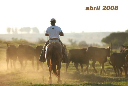 RETROSPECTIVA ABRIL 2008
