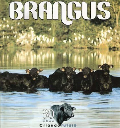 Revista Brangus publica resultados de Palermo
