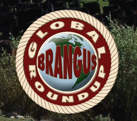 Evento Mundial Brangus acontece no Texas em março