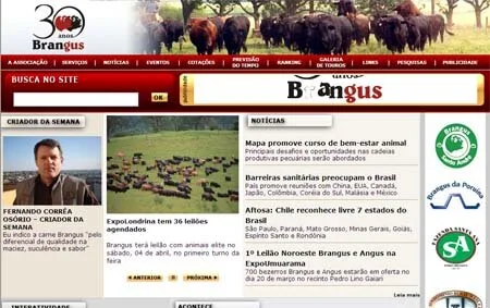 Bem vindo à nova versão do site Brangus