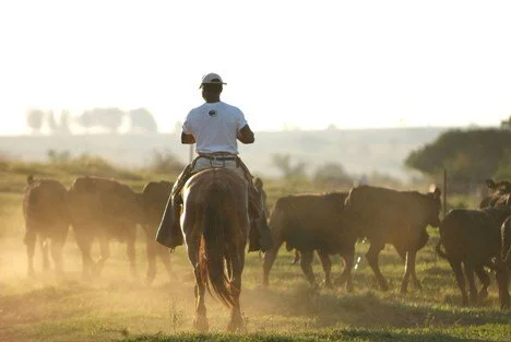 30 anos da ABB acontece esta semana em Londrina