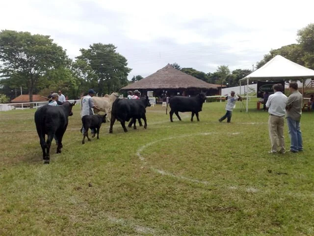 Resultados e fotos da Expo Umuarama