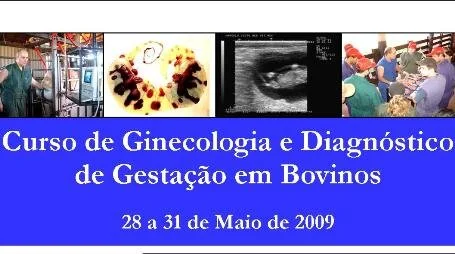 Curso Ginecologia e Diagnóstico de Gestação Bovina