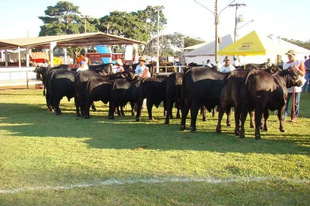 BR Texas faturou maioria dos prêmios em Dourados