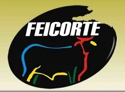 Sai resultados de julgamento Brangus na Feicorte