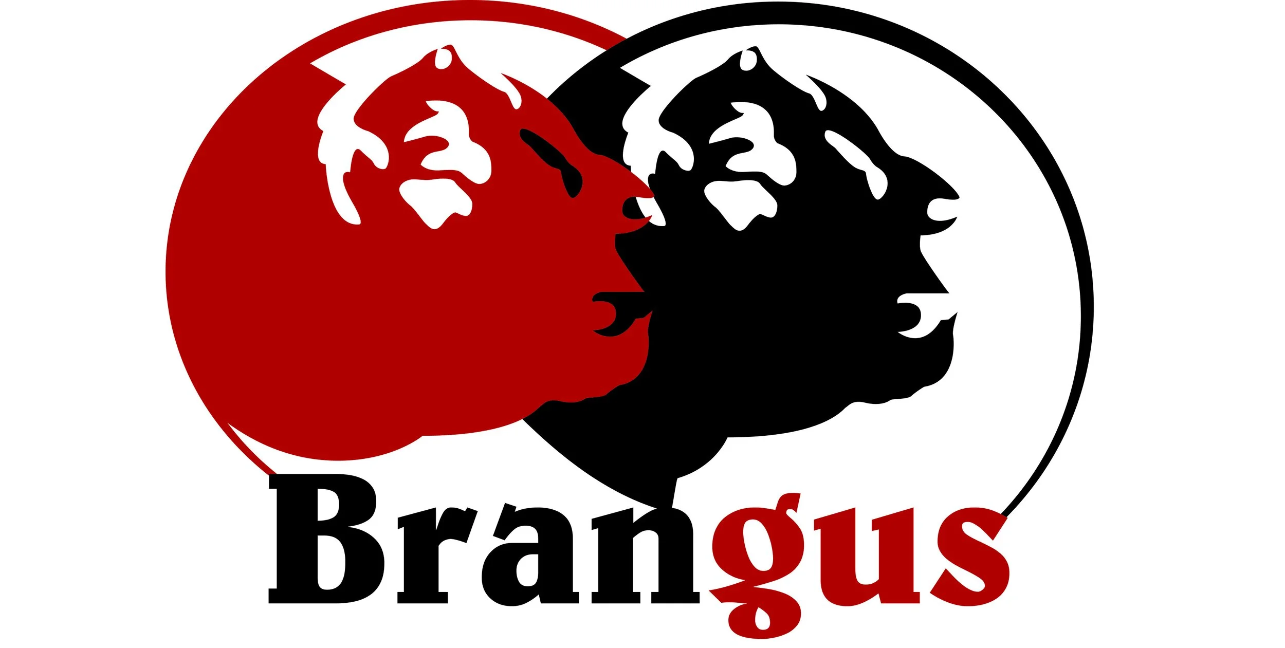 O Brangus conquista o Brasil