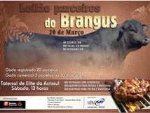 Leilão Parceiros do Brangus