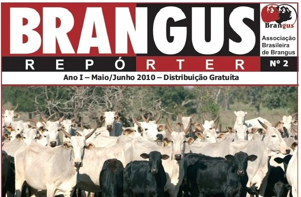Brangus Repórter Nº 2 - Já disponível na internet