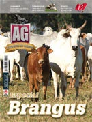 Brangus é destaque da revista AG Criador
