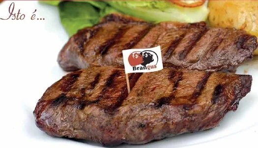 Vem aí o Programa de Carne Certificada pela ABB