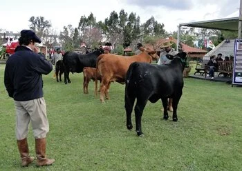 Juquiry faz a festa em Uruguaiana